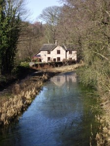 The Canal at Whatstandwell